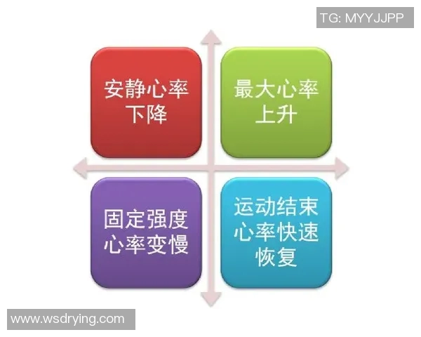 运动员心率变化对运动表现与恢复的影响研究分析