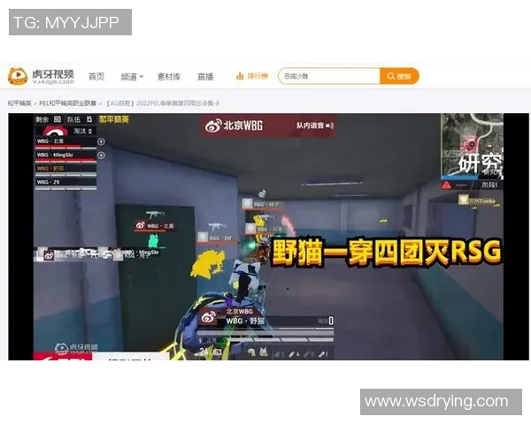 和平精英评论：V5战队反击之路的成败与启示分析