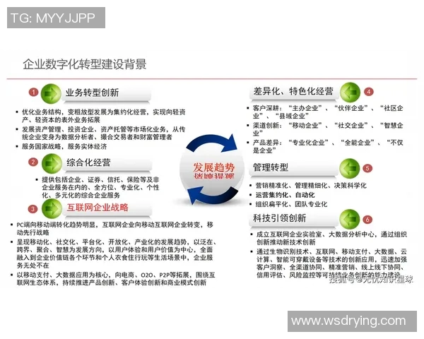 互联网信息时代下数字化转型对企业发展的深远影响与挑战分析