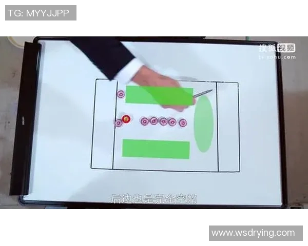 杭州飞盘队快攻表现分析与战术调整探讨