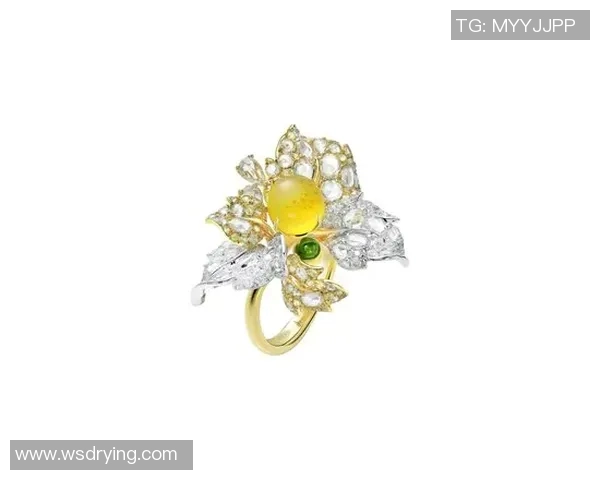 珠宝艺术的魅力与传承：探索珠宝设计背后的历史与创新