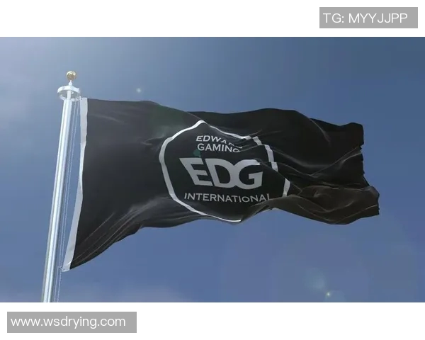 CSGO深度解析EDG战队实力与战术布局的全景分析
